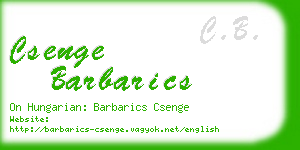 csenge barbarics business card